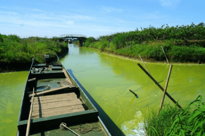 太湖落日，美中不足的遺憾