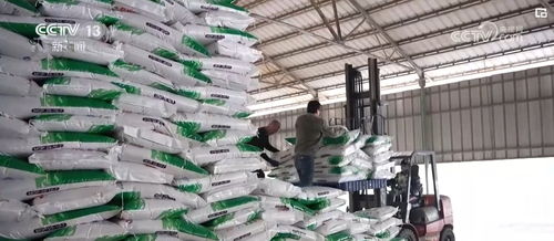 打通農(nóng)資供應“最后一公里”，為新一季糧食生產(chǎn)開好頭、起好步